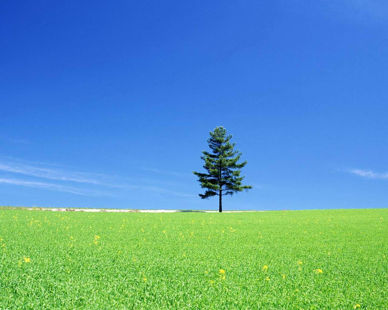 阿痕OverTheRainbow